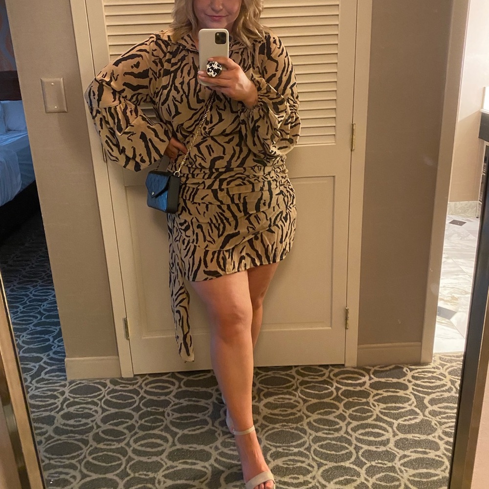 Fashion Nova Zebra Print Dress